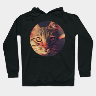 Bright-Eyed floppy cat Hoodie